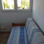 L'adret Et Sa Piscine *
