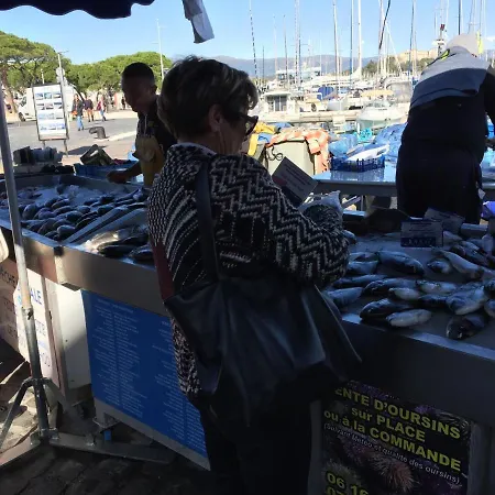 L'adret Et Sa Piscine ヴィラ *