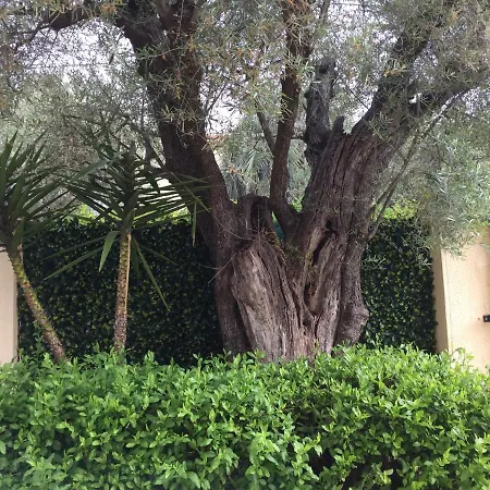 L'adret Et Sa Piscine ヴィラ *