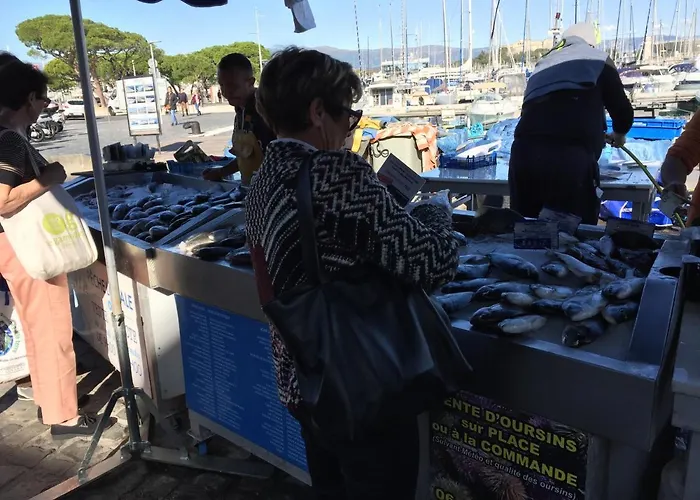 L'adret Et Sa Piscine Vila *