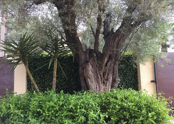 L'adret Et Sa Piscine Vila *